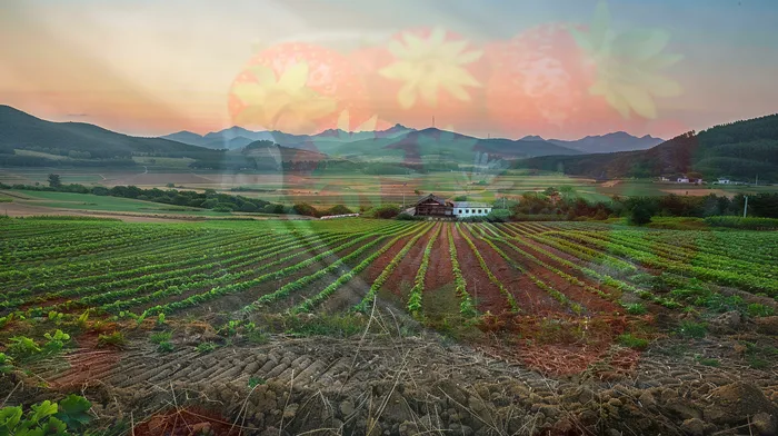 채권추심 변호사 상담